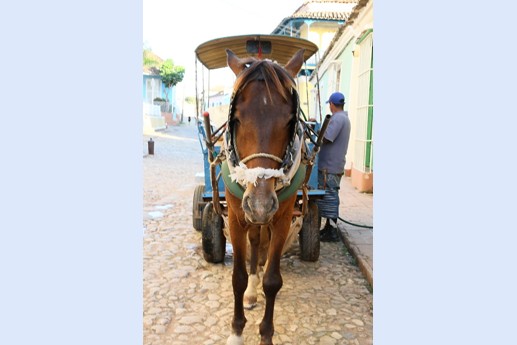 Cuba 2012